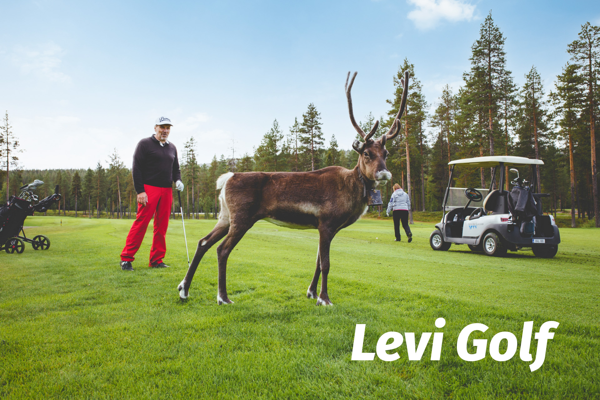 Golfaajat ja poro Levi Golfin kentällä Levillä.
