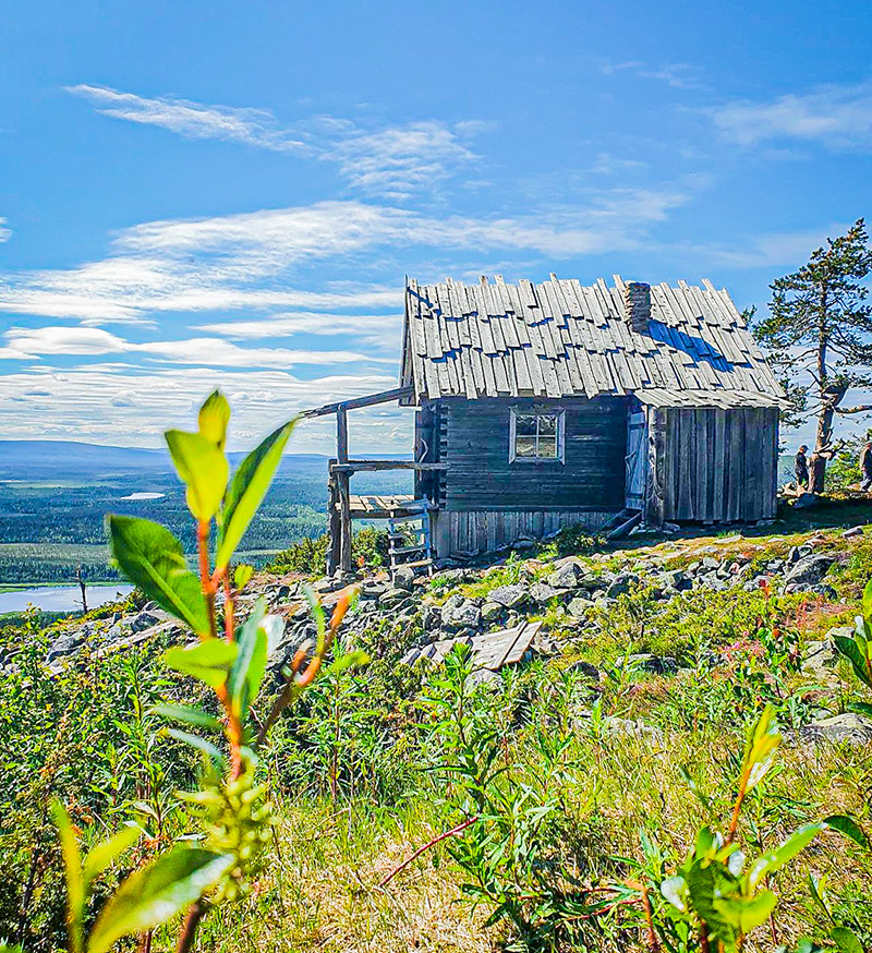A cottage in Lapland, in summer.